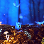 how-do-mushrooms-affect-the-body